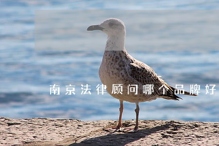 南京法律顾问哪个品牌好 南京法律顾问哪个品牌好
