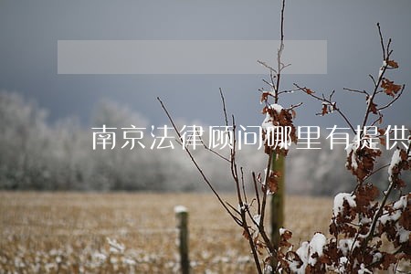 南京法律顾问哪里有提供 南京法律顾问哪里有提供