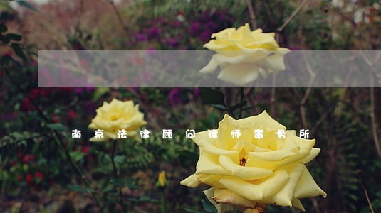 南京法律顾问律师事务所 南京法律顾问律师事务所