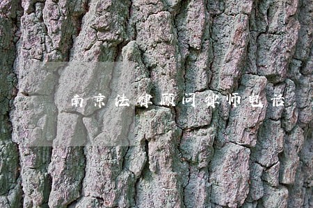南京法律顾问律师电话 南京法律顾问律师电话