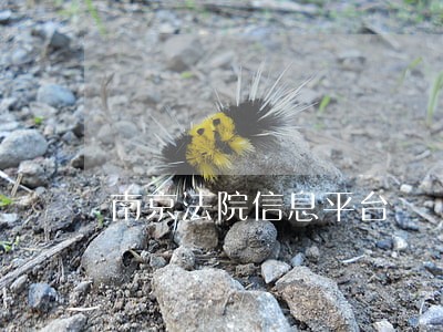 南京法院信息平台