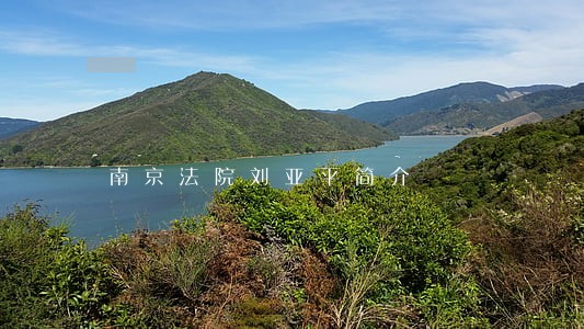 南京法院刘亚平简介 南京法院刘亚平简介