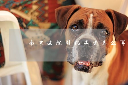 南京法院司机工资怎么算 南京法院司机工资怎么算