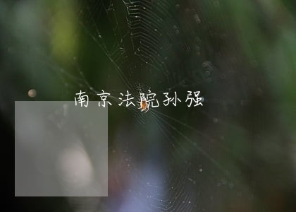 南京法院孙强 南京法院孙强