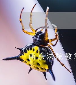 南京法院教您一招 南京法院教您一招