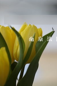 南京法院朱清 南京法院朱清