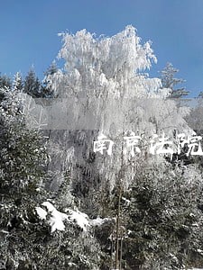 南京法院王静 南京法院王静