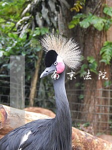 南京法院网上平台登录 南京法院网上平台登录