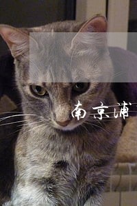 南京浦口区代理律师收费标准