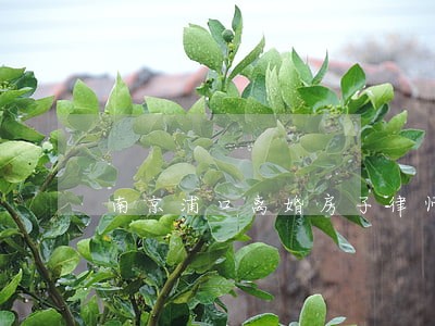 南京浦口离婚房子律师免费咨询 南京浦口离婚房子律师免费咨询