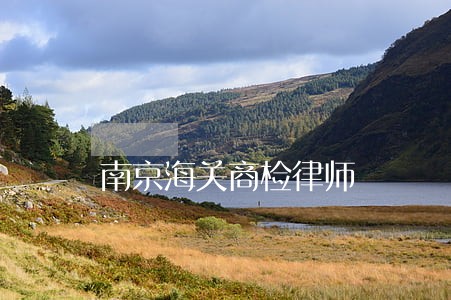 南京海关商检律师 南京海关商检律师
