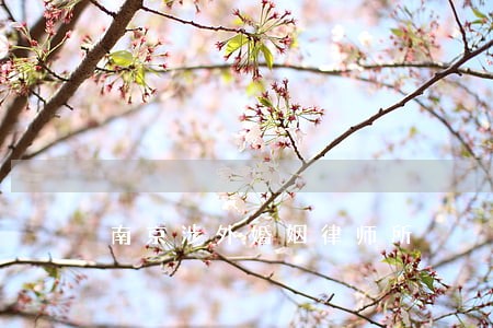 南京涉外婚姻律师所 南京涉外婚姻律师所