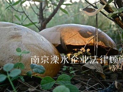 南京溧水企业法律顾问 南京溧水企业法律顾问