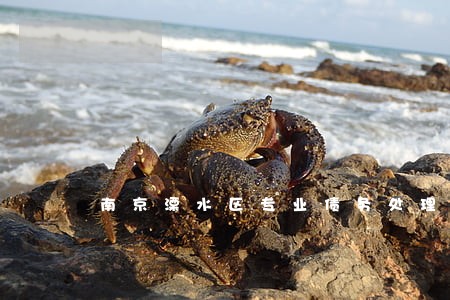 南京溧水区专业债务处理律师 南京溧水区专业债务处理律师