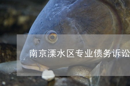 南京溧水区专业债务诉讼律师 南京溧水区专业债务诉讼律师