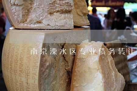 南京溧水区专业债务转让律师 南京溧水区专业债务转让律师