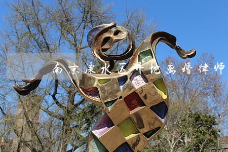南京溧水区异地离婚律师