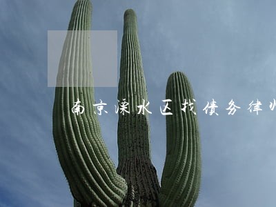 南京溧水区找债务律师 南京溧水区找债务律师