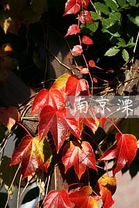 南京溧水区找债务诉讼律师 南京溧水区找债务诉讼律师