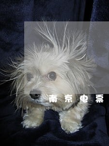 南京电票追索法律咨询 南京电票追索法律咨询