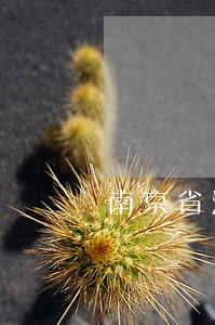南京省法院电话号码 南京省法院电话号码