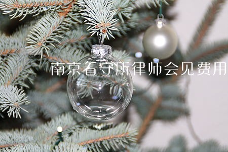 南京看守所律师会见费用 南京看守所律师会见费用