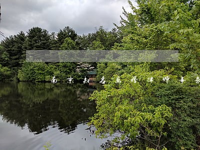 南京知名离婚律师事务所 南京知名离婚律师事务所