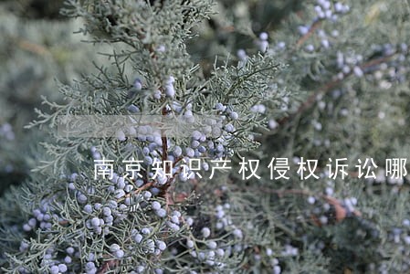 南京知识产权侵权诉讼哪家好 南京知识产权侵权诉讼哪家好