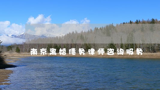 南京离婚债务律师咨询服务 南京离婚债务律师咨询服务