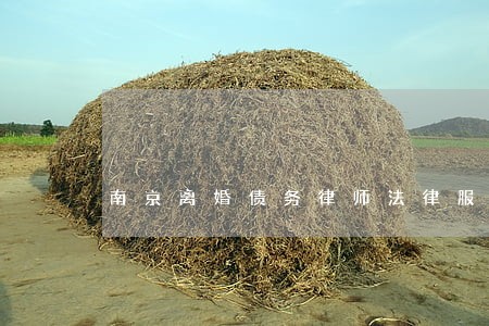 南京离婚债务律师法律服务 南京离婚债务律师法律服务