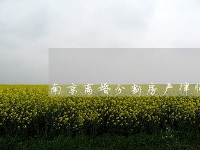 南京离婚分割房产律师 南京离婚分割房产律师