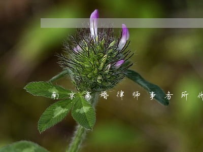 南京离婚律师事务所价格 南京离婚律师事务所价格