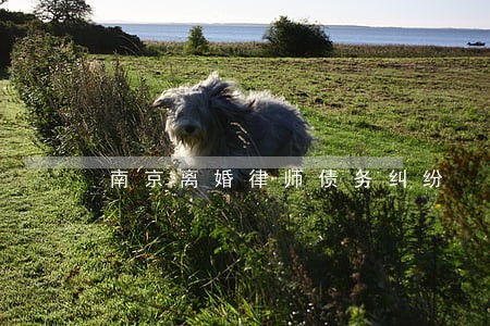 南京离婚律师债务纠纷 南京离婚律师债务纠纷
