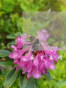 南京离婚律师团队 南京离婚律师团队