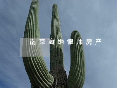 南京离婚律师房产 南京离婚律师房产