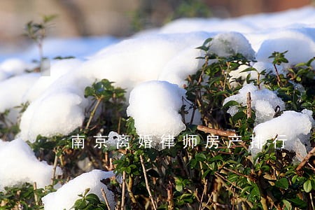 南京离婚律师房产排行 南京离婚律师房产排行
