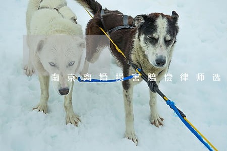 南京离婚损害赔偿律师选择 南京离婚损害赔偿律师选择