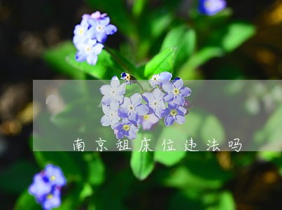南京租床位违法吗 南京租床位违法吗