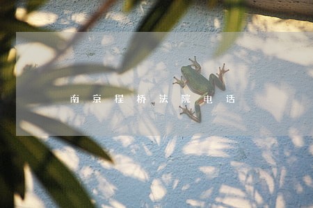 南京程桥法院电话