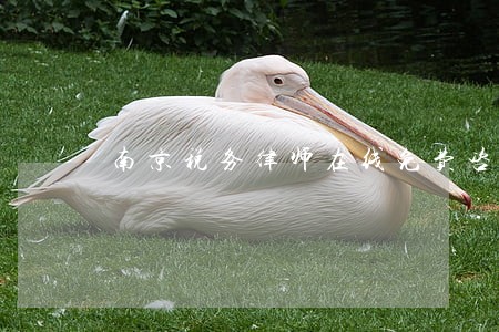南京税务律师在线免费咨询 南京税务律师在线免费咨询