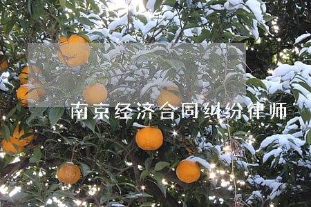 南京经济合同纠纷律师 南京经济合同纠纷律师