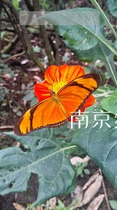 南京经纬专利商标代理有限公司 南京经纬专利商标代理有限公司