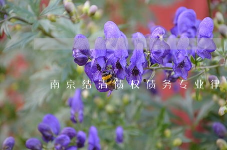 南京结清债权债务专业律师 南京结清债权债务专业律师