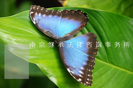 南京继承法律咨询事务所 南京继承法律咨询事务所