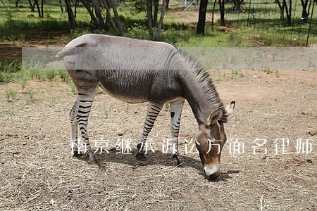 南京继承诉讼方面名律师 南京继承诉讼方面名律师