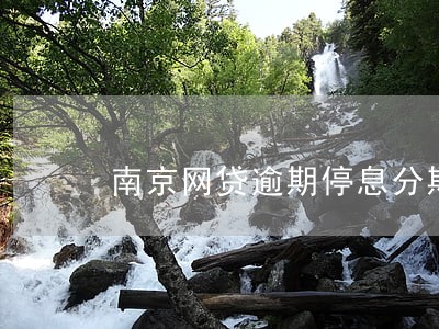 南京网贷逾期停息分期怎么协商 南京网贷逾期停息分期怎么协商