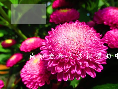 南京老年人法律援助中心 南京老年人法律援助中心
