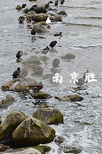 南京胜诉率高的遗产继承律师费用 南京胜诉率高的遗产继承律师费用