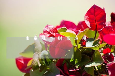 南京融华财富逾期 南京融华财富逾期