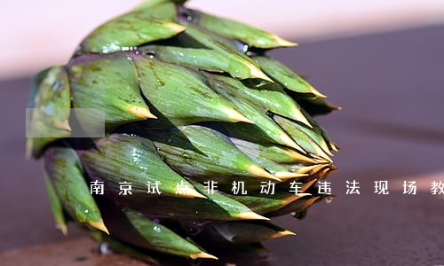 南京试点非机动车违法现场教育 南京试点非机动车违法现场教育